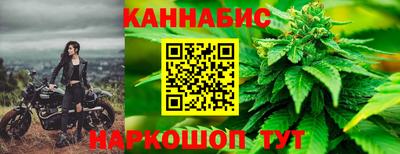 apvp Краснодар