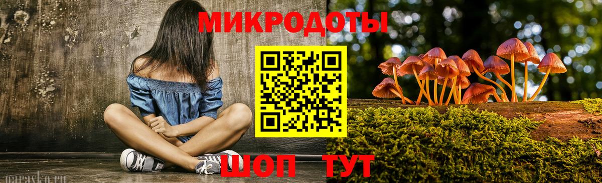 Кировск  Галлюциногенные грибы Psilocybe  Вход с VPN 